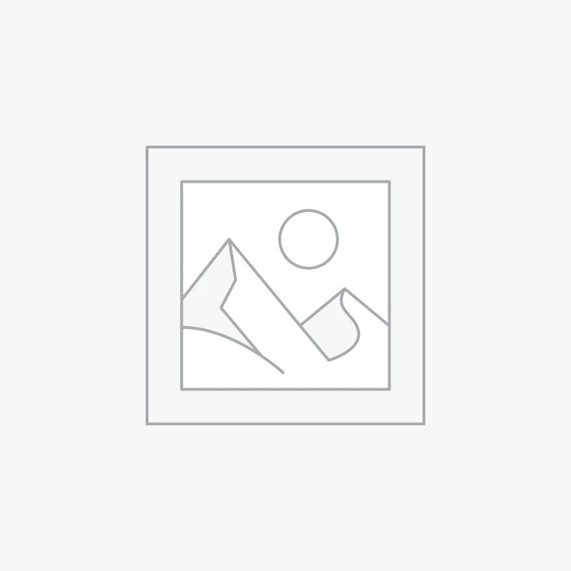 FAITH INHERITS THE PROMISES